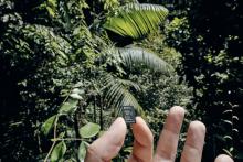 French Guiana 2018 microSD Emtec 04